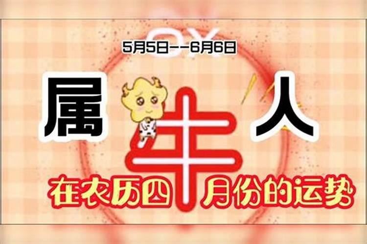 属牛女四月出生一生的命运
