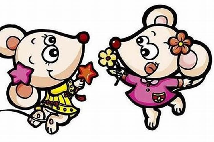 属龙化解破太岁最佳方法