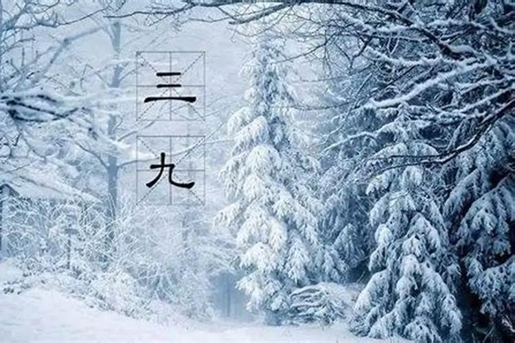 上坟是在冬至前还是后？