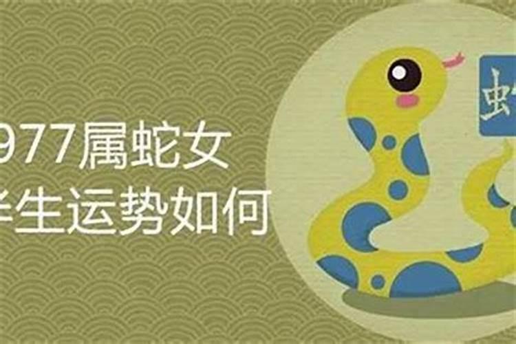 生肖羊2025年运势 属羊2025年运势及运程