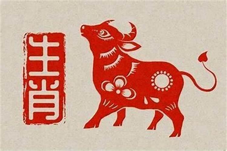属龙2025运势及运程详解 属龙人2025年每月运势