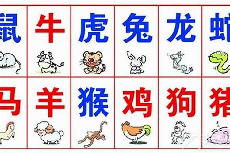 属相不合和八字不合哪个严重 两个人属相不合不能结婚吗？