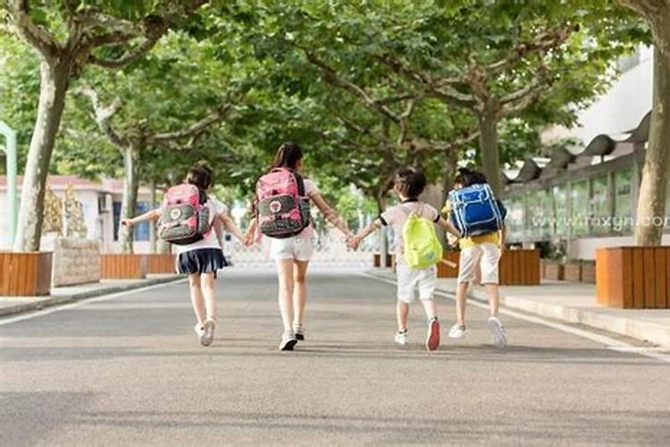 梦见上学被人欺负的预兆