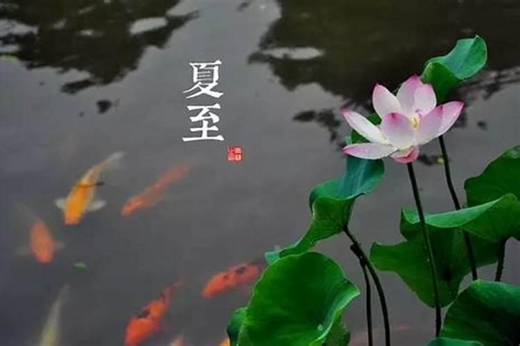 圣斗士游戏抽卡技巧