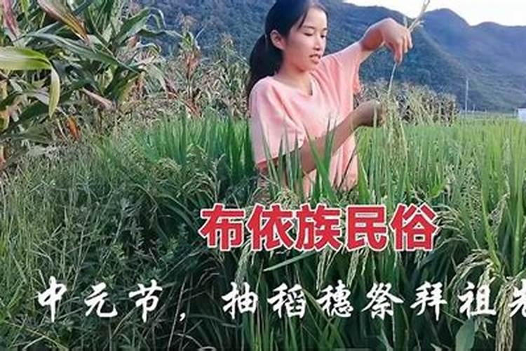 生肖牛1973年2025年运势如何 生肖牛1973年2025年全年运势