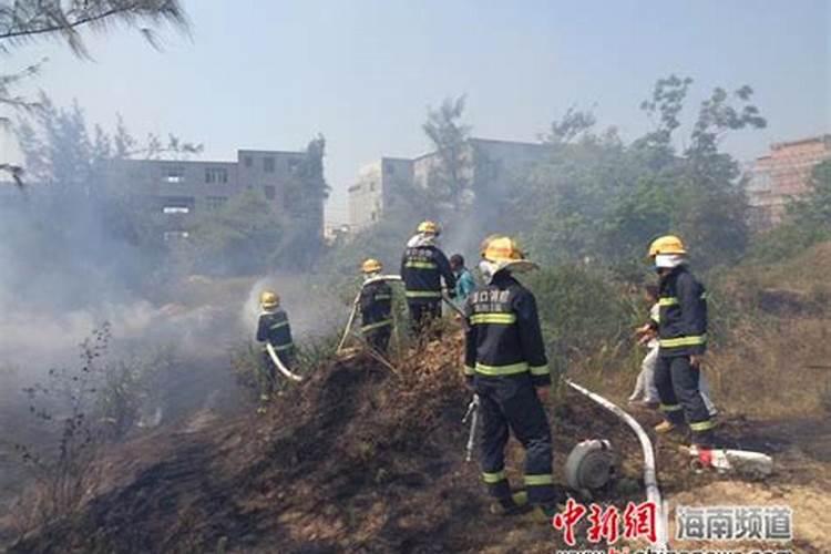 清明祭祖烧山怎么处罚
