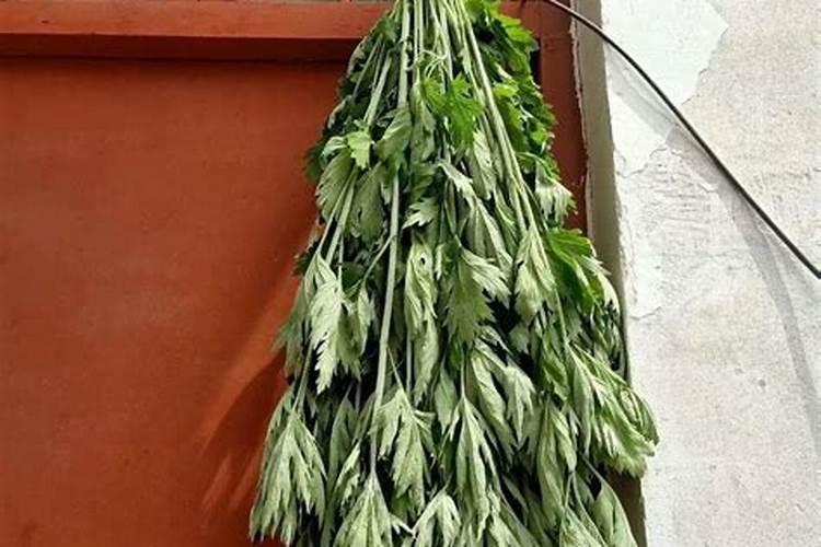 梦见把厕所收拾干净的预兆