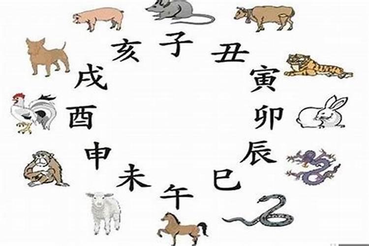 立春之时能够种植的农作物包含哪些？