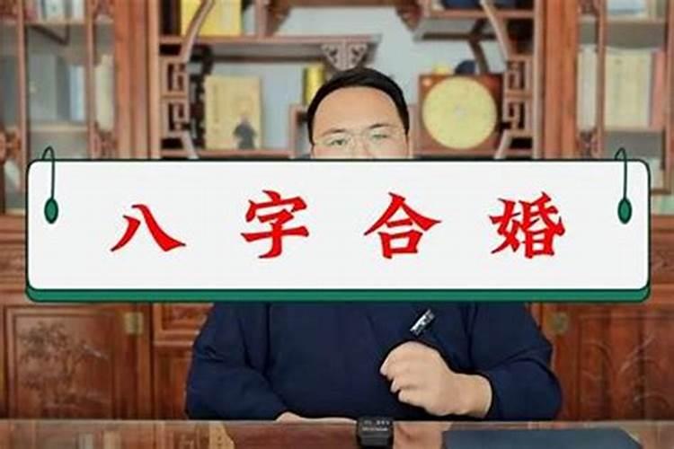 ...我老公属马,我们结婚后经常吵架打架,请问我和他是不是八字不合...