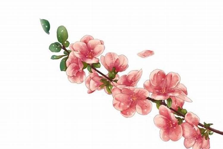 破解桃花劫蕞有效的方法 斩断烂桃花蕞灵的方法