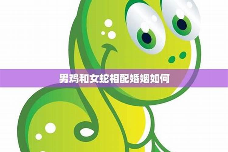 女蛇男鸡婚姻是否相配