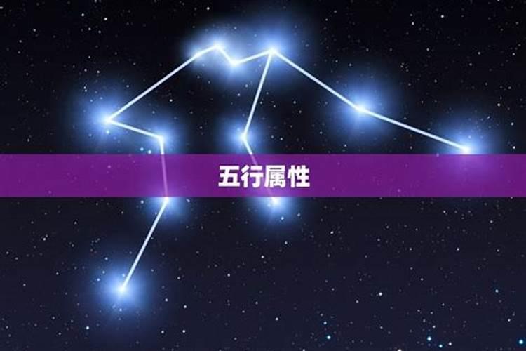 八零年的猴在2024年的运势如何呢