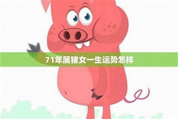 83年11月的猪是什么命 83年猪40岁后十年大运运程