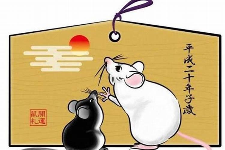 为什么属狗和鼠相克 狗鼠相逢运势如何