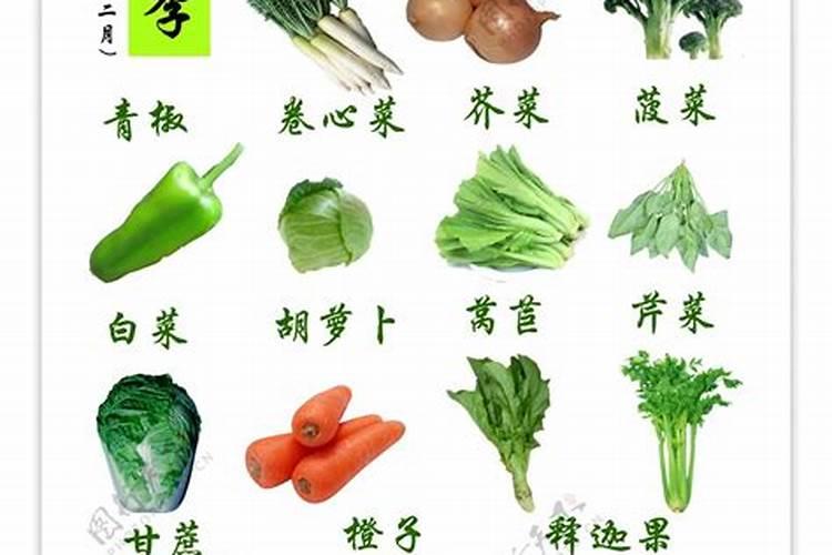 上海人立冬吃什么食物 立冬时节上海的饮食习俗