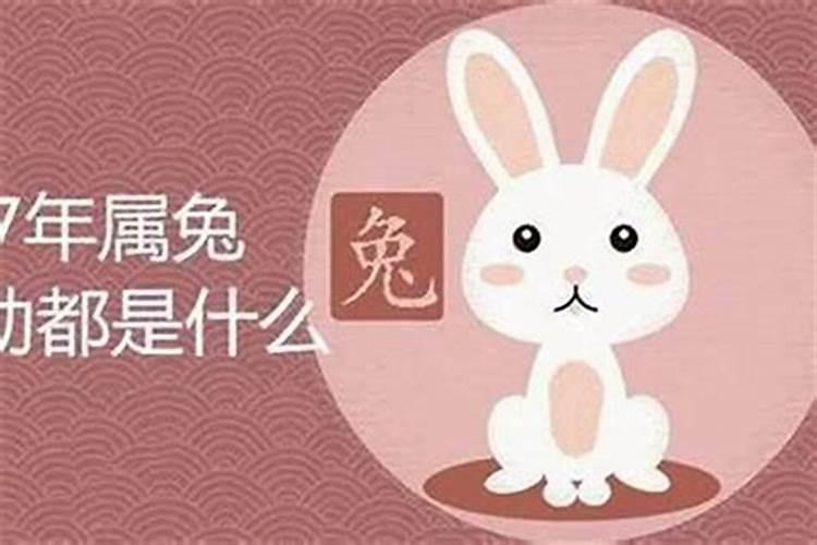 梦见家里到处都是屎什么意思？