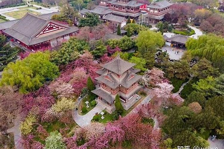 西安清明节去哪里玩比较好