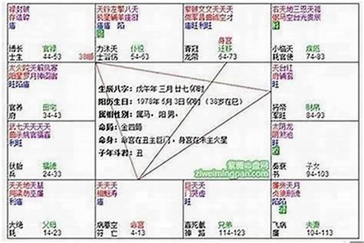 命相官禄廉贞七杀癸未是什么意思啊