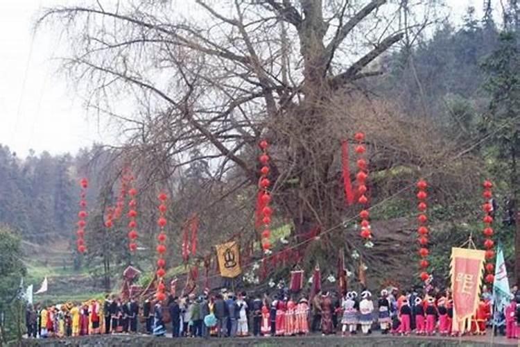 2025蛇年犯太岁的五个属相有哪些