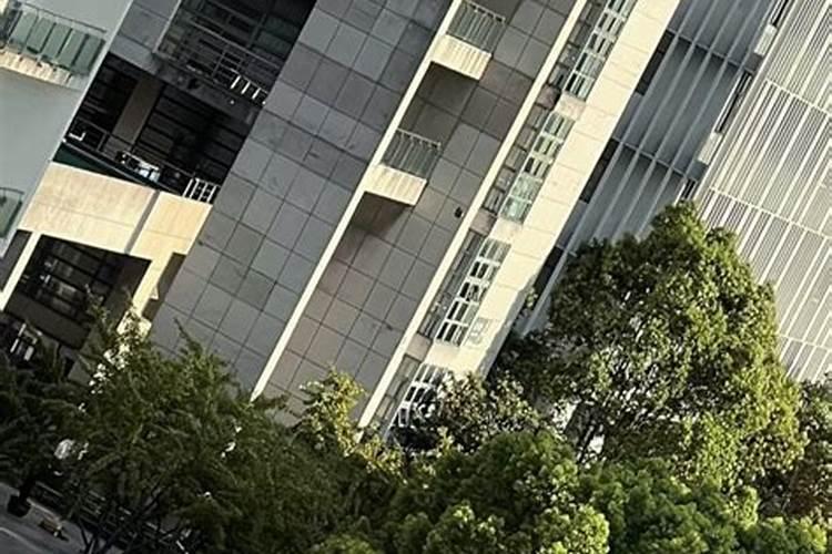 梦到上学是什么意思