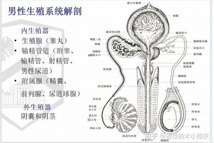 在寺庙里做超度都需要什么？