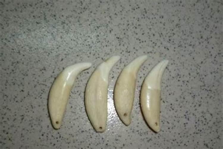 属狗的人适合佩戴什么辟邪玉？
