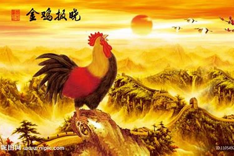 金鸡报晓，中考在望：属鸡孩子如何展翅高飞？