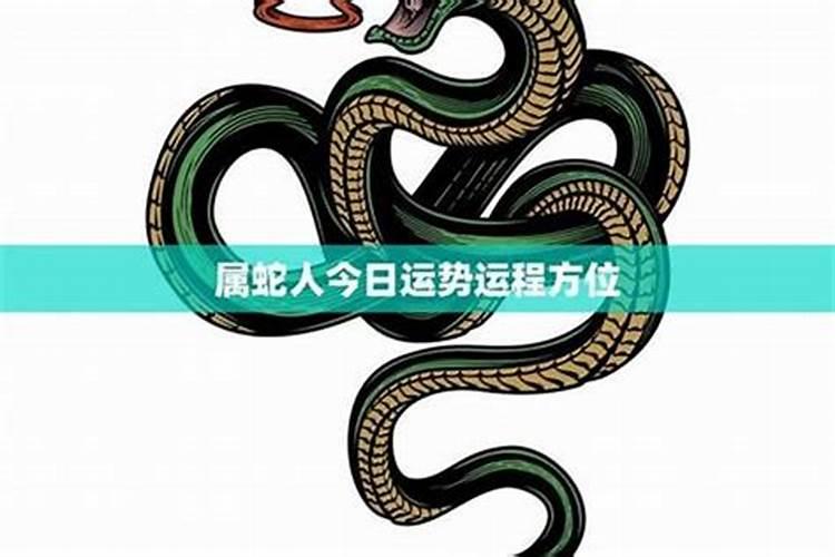 属蛇今日运势解析：洞察天机，把握吉时
