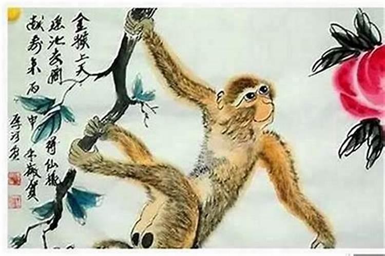 1980年属猴的适合什么行业：揭秘中国传统文化中的智慧？