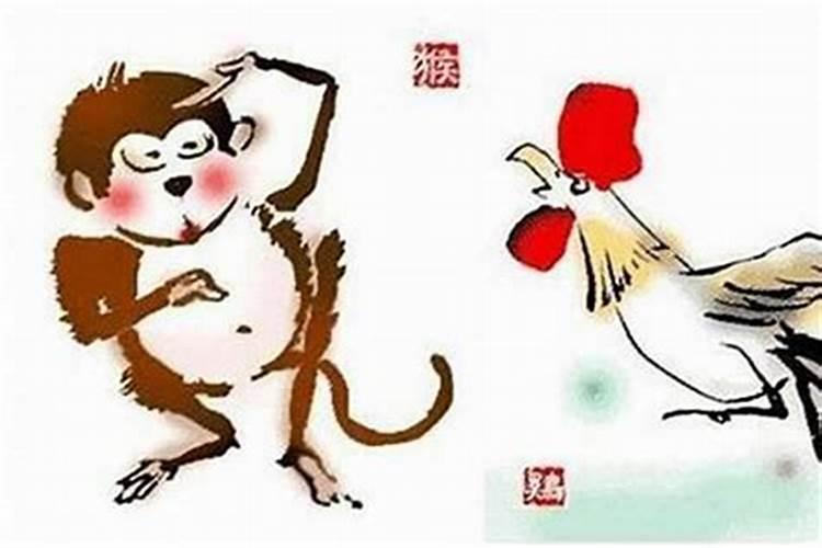 鸡猴之缘：探讨属鸡和属猴的合婚之道