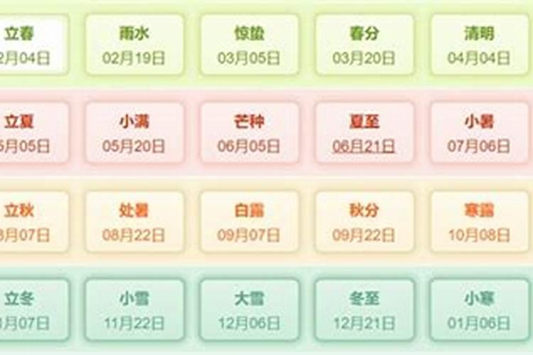 2024年属什么